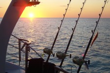 Luxury Catamarans Kupe and Te Okupu 